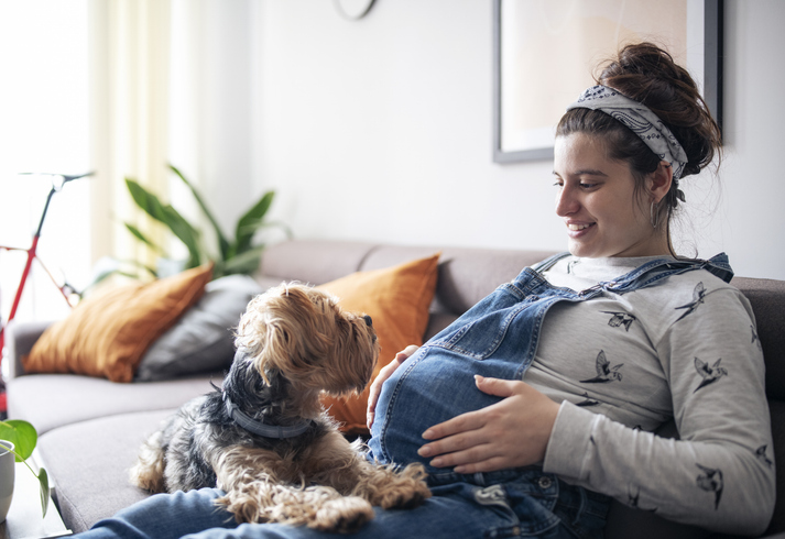 Pregnant Woman Sitting on Couch with Dog