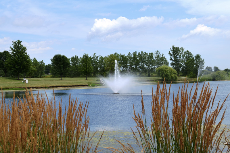Bridgewater Healing Garden