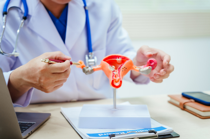 Doctor points to model of a uterus