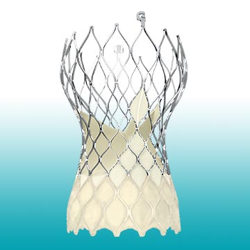 TAVR Heart Valve