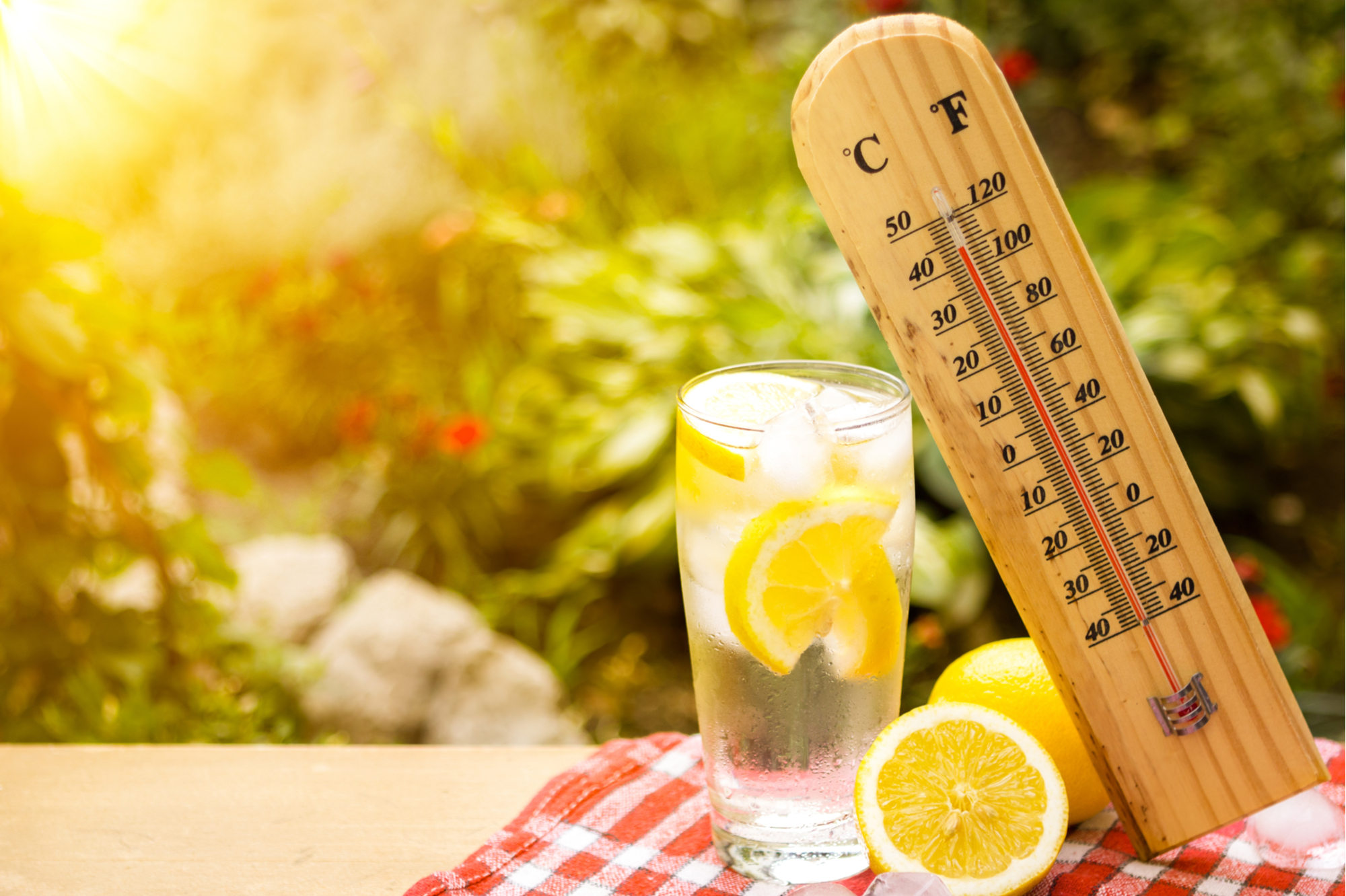 Glass of cold lemonade in the sun